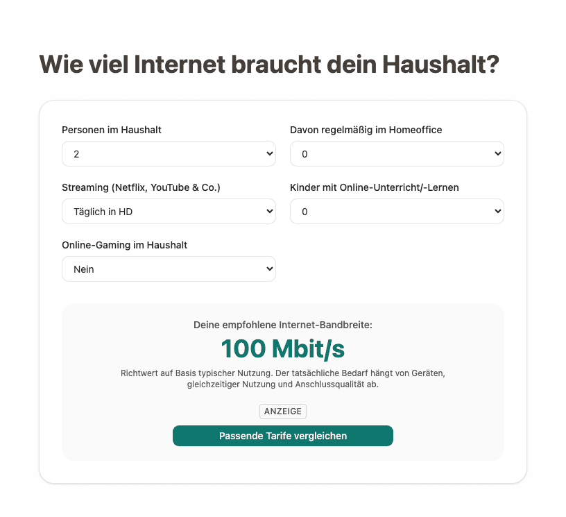 Screenshot des Spacle-Bandbreiten-Rechners mit Beispiel-Ergebnis 100 Mbit/s